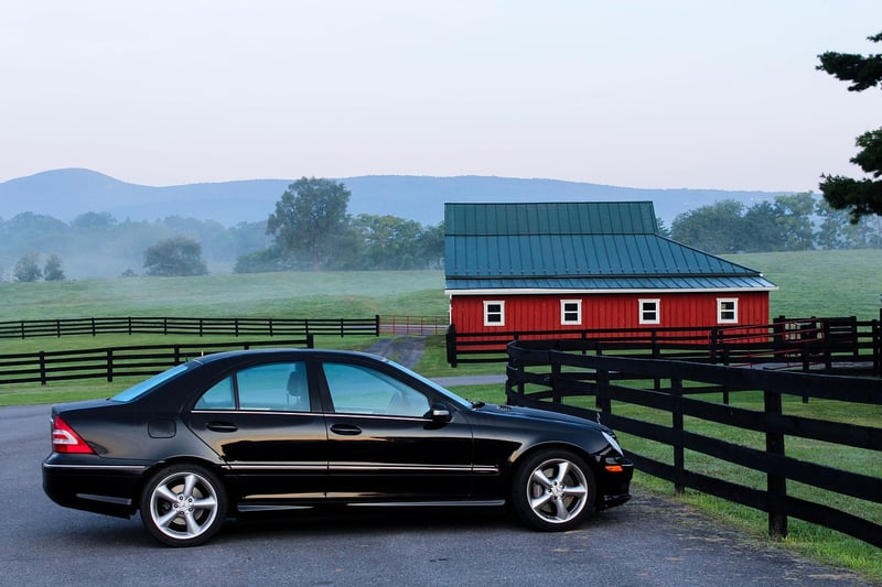 Barn Beauties